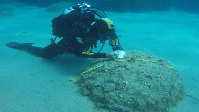 ordigni bellici nelle acque dello stretto di messina fondali di bolano e messina